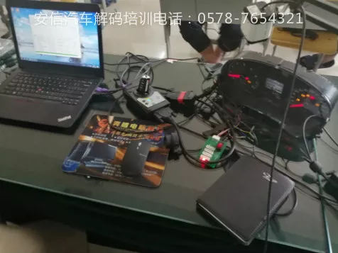 学解码培训